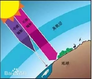 P(l)P(gun)עҊ(jin)Ⱦ | ĳȾСՈ(qng)